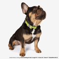 thumbnail image 2 of NANDOG The Signature Collection Waterproof Poly-Flex Sport Dog Collar in Medium Neon Green - Durable & Adjustable Design - Comfortable Fit for Active Dogs - Ideal for Outdoor Adventures, 2 of 5