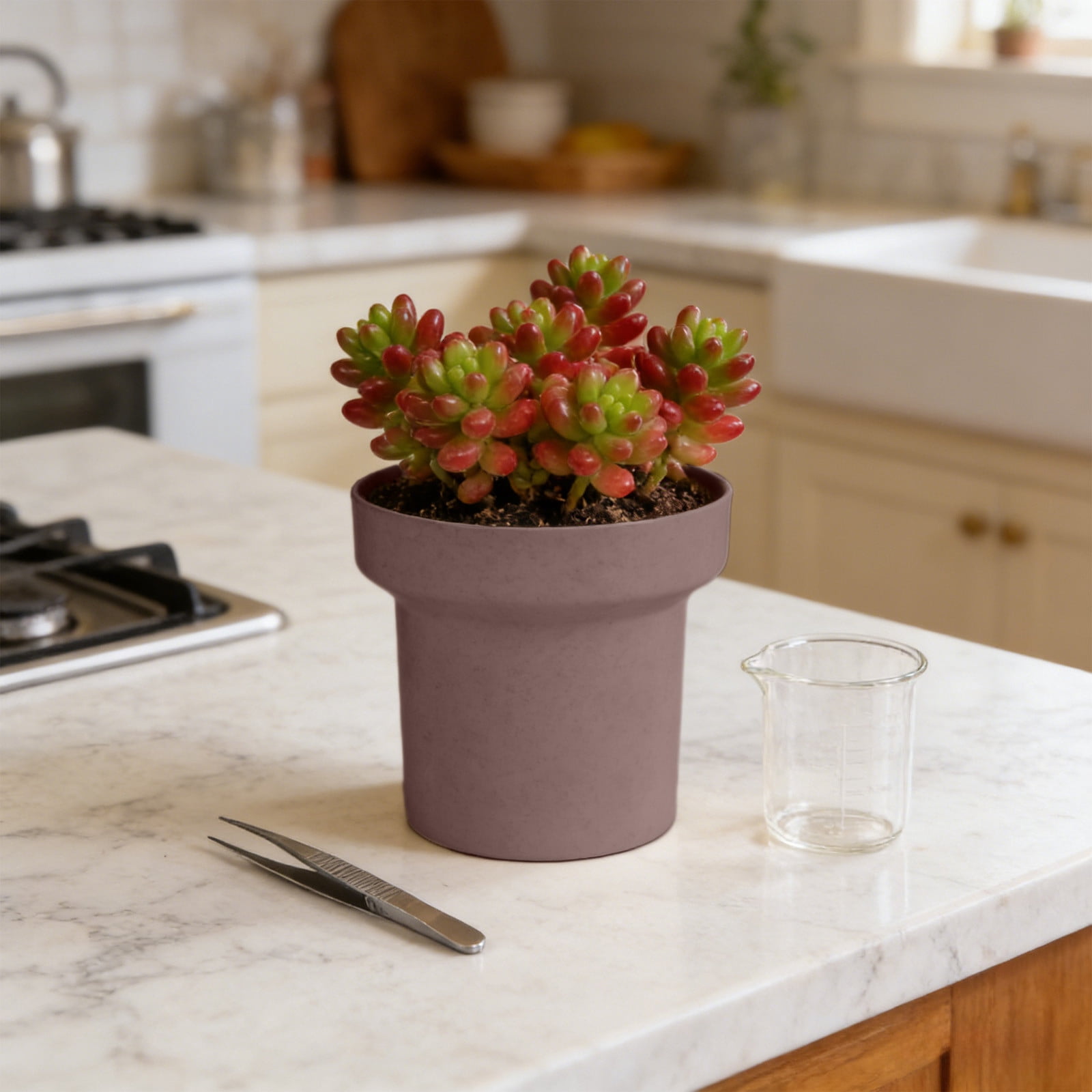 Dpityserensio Succulents Plants Pot Simples Indoor Mini Plastic Flower Pot Creatives Desktop Succulents Planter.