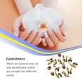 thumbnail image 3 of stanreset 50 Pieces Glass Crystal Set Gem Glitter Personalized 3D Tips Decoration Art Rhinestones Manicure Accessories Wedding Dress Gold, 3 of 6