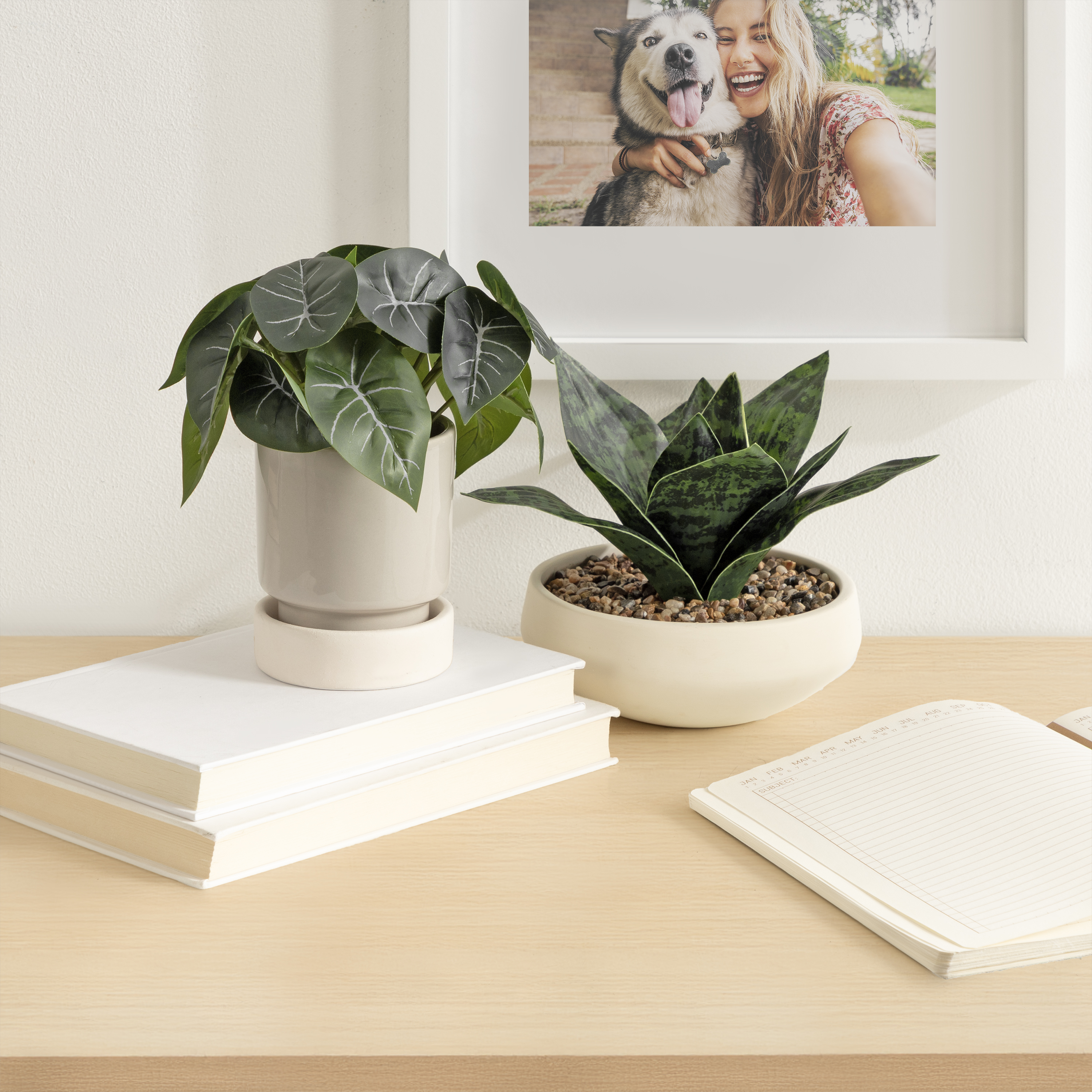 Plante artificielle avec feuillage panaché de 17,78 de hauteur dans un pot en céramique à deux tons de DesignOvation