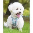 thumbnail image 2 of Enkarl Dog Harness for Small Medium Dogs No Pull, Cat Harness and Leash Set, Puppy Harness for Small Dogs, Xs Dog Harness, Step in Dog Harness, Harness and Leash for Small Dogs. (Blue, S), 2 of 6