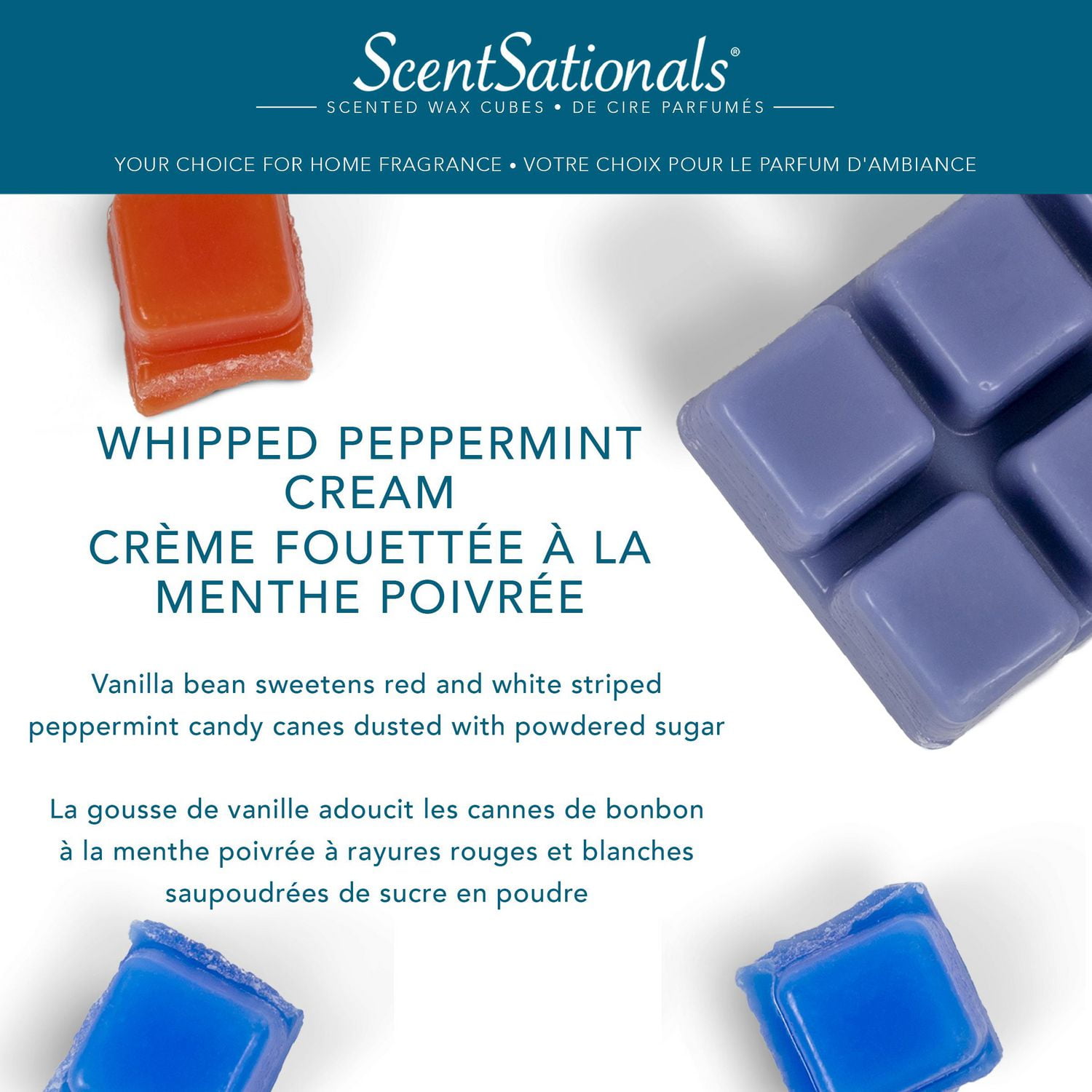 Cubes de cire parfumée Paquet économique ScentSationals - Crème fouettée à la menthe poivrée.