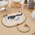 thumbnail image 2 of DOLITY Tapis à Griffer pour Chat Tapis à Griffer pour Intérieur Tapis pour Chats Orange m, 2 of 7