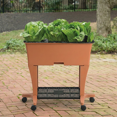 thumbnail image 3 of Novelty EarthBox Elevated Garden-Terra, 3 of 5