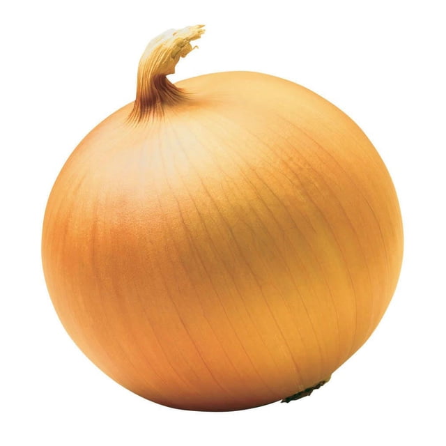 500 Riverside Sweet Yellow Spanish Onion Allium Cepa vegetable seeds for gardening and seed starting. Produces globe-shaped, sweet, and mild yellow onions. Ideal for outdoor planting after frost or indoors before the last frost. Requires sun to part shade and average soil. Harvest in 115 days with 12-18 inch plant height and spacing. Includes 500 seeds.