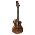 thumbnail image 4 of Ukulélé Acoustique-Électrique de Concert Horizon Series Revese Headstock avec Sac, 4 of 4