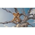 thumbnail image 5 of Mufasa: Le Roi Lion DVD, Disney, starring Aaron Pierre and Seth Rogen, 5 of 5