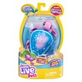 thumbnail image 1 of Little Live Pets Lil' Turtle Single Pack - Snowbreeze, 1 of 5