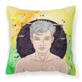 thumbnail image 1 of Carolines Treasures BB7323PW1414 Libra Zodiac Sign Fabric Decorative Pillow, 1 of 4