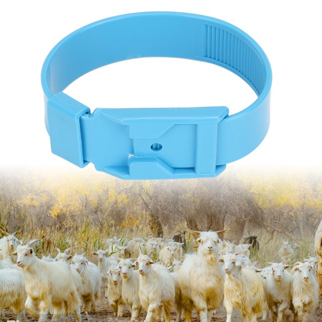 Sheep Identification Collar Marking Ring with Safe PU Material and Lightweight Design, for Livestock Management