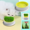 thumbnail image 2 of Hydroponic Germination Tray For Small Grass And Vegetables With Porous Plastic Design 12.5 in x 10 in x 4 in, 2 of 9