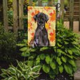 thumbnail image 2 of Carolines Treasures BB9503GF Black Labrador Drapeau d'Automne Format Jardin, 2 of 3