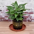 thumbnail image 5 of Unique Bargains 12' Plastic Wave Round Plant Pot Saucer Flower Drip Tray, Red 6 Pack, 5 of 5
