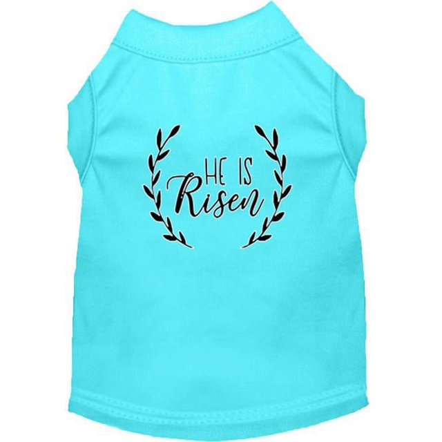 Il Est Ressuscité Sérigraphie Chien Chemise Aqua XL (16)