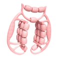 thumbnail image 2 of Milaget Rouleau de Massage à Main pour Jambes 24 Roues Outil de Massage Équipement pour Taille Rose, 2 of 9