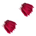 thumbnail image 1 of Maytalsory 100x DIY Boho Style Wild And Colorfast Feathers For Crafts Tear-resistant Burgendy 2Set, 1 of 6