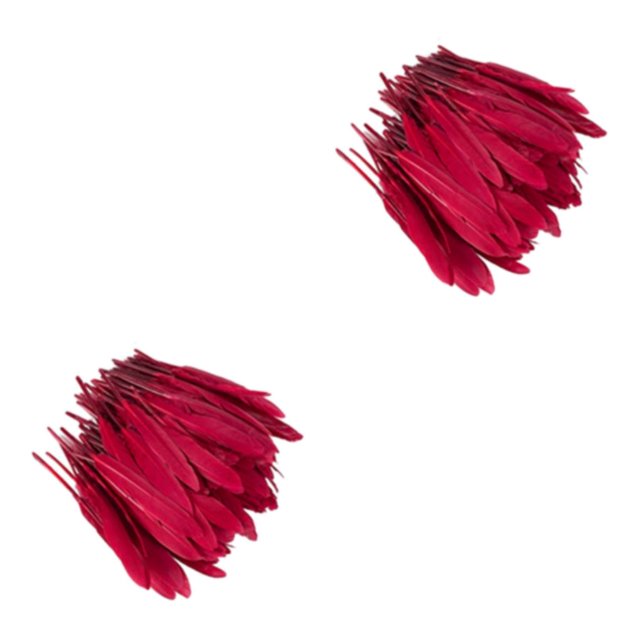 Maytalsory 100x DIY Boho Style Wild And Colorfast Feathers For Crafts Tear-resistant Burgendy 2Set