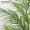 White, variant on Bingirl 2 PCS 5FT Fake Palm Trees - Faux Areca Palm Plants with Full Lifelike Palm Leaves, Realistic Trunks, for Indoor Home Office, Outdoor Yard Decor, with Tall Trapezoidal Prism White Pot