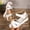 White, variant on Gspmoly Slides Women, Women's Fashion Casual Versatile Fish Mouth Spring And Summer New Beach Outdoor Open Toe Sandals Women's Slippers White 42