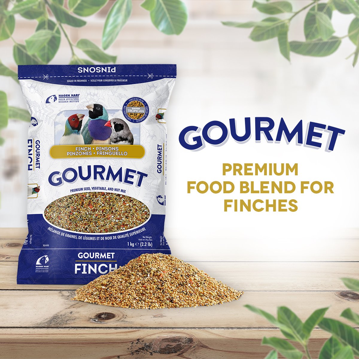 HARI Gourmet Premium Seed Mix for Finches - 1 kg (2.2 lb)