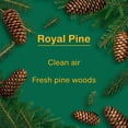thumbnail image 4 of LITTLE TREES air freshener Royal Pine 3-Pack, 4 of 10