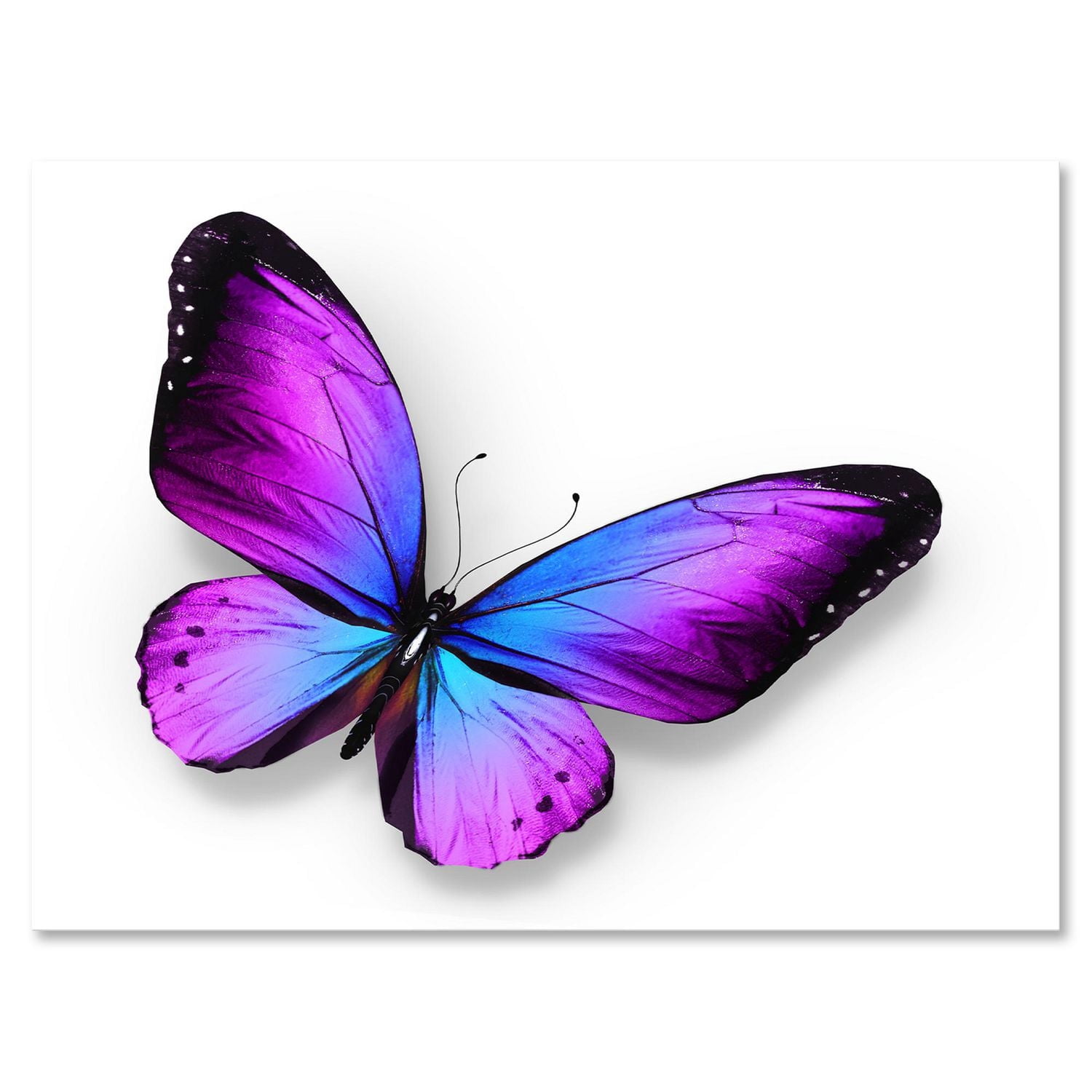 Designart Papillon violet et bleu Art mural sur toile
