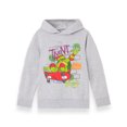 thumbnail image 1 of Teenage Mutant Ninja Turtles Boys Grey Shell Skater Hoodie (11-12 Years), 1 of 6