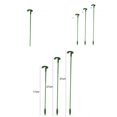 thumbnail image 1 of 10Pcs Potted Plant Support Stick Universal Good Support Lightweight Sunflower Vegetables Stem Glass Fiber Support Stick for Garden, 1 of 8