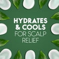thumbnail image 3 of Head & Shoulders Tea Tree Oil Shampoo, 3 of 17