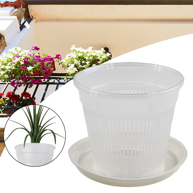 pot de Plantation d'Orchidées à Racines Transparentes avec pot de Fleurs en Plastique stomata