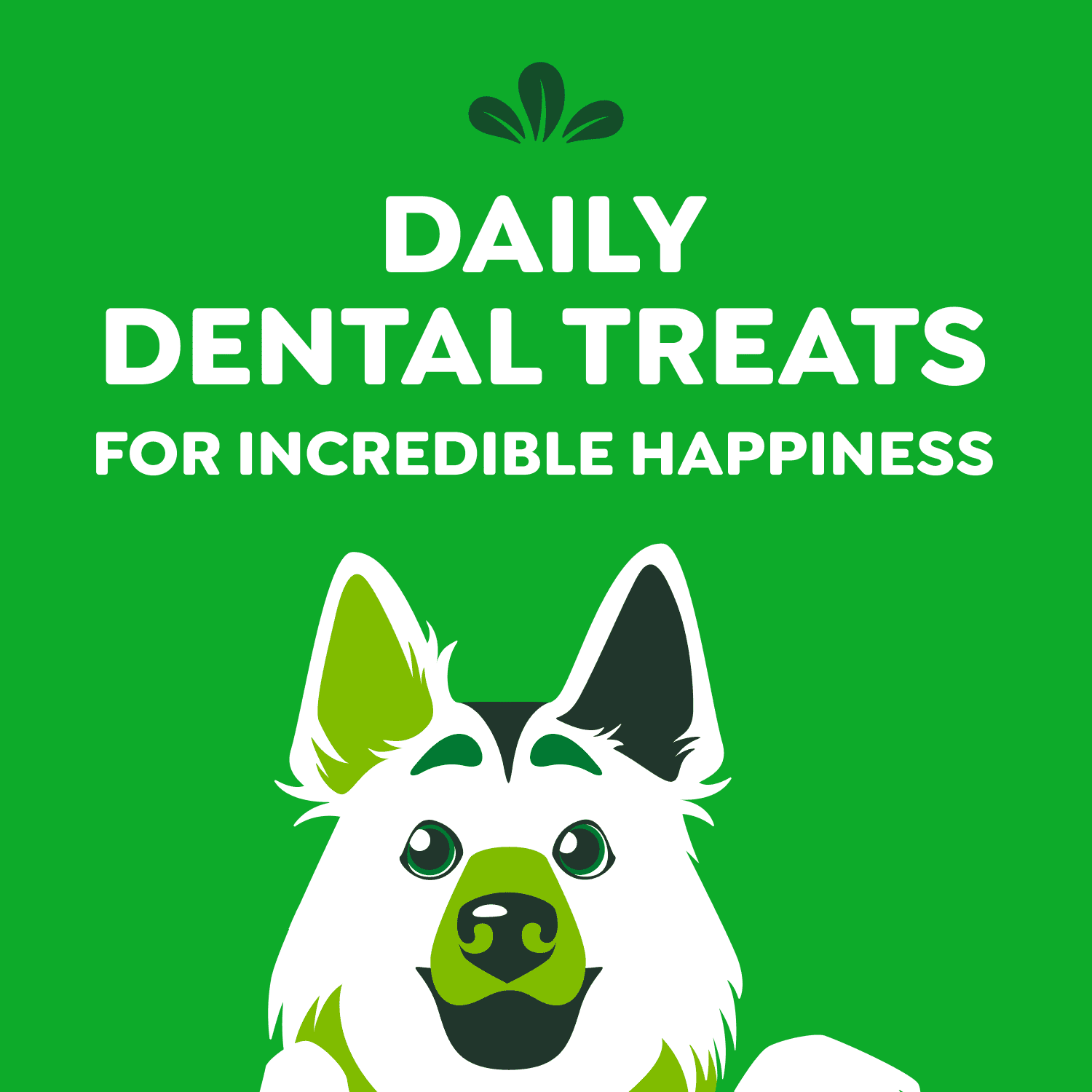 Gâteries dentaires naturelles pour chiens adultes GREENIES Original GRAND format