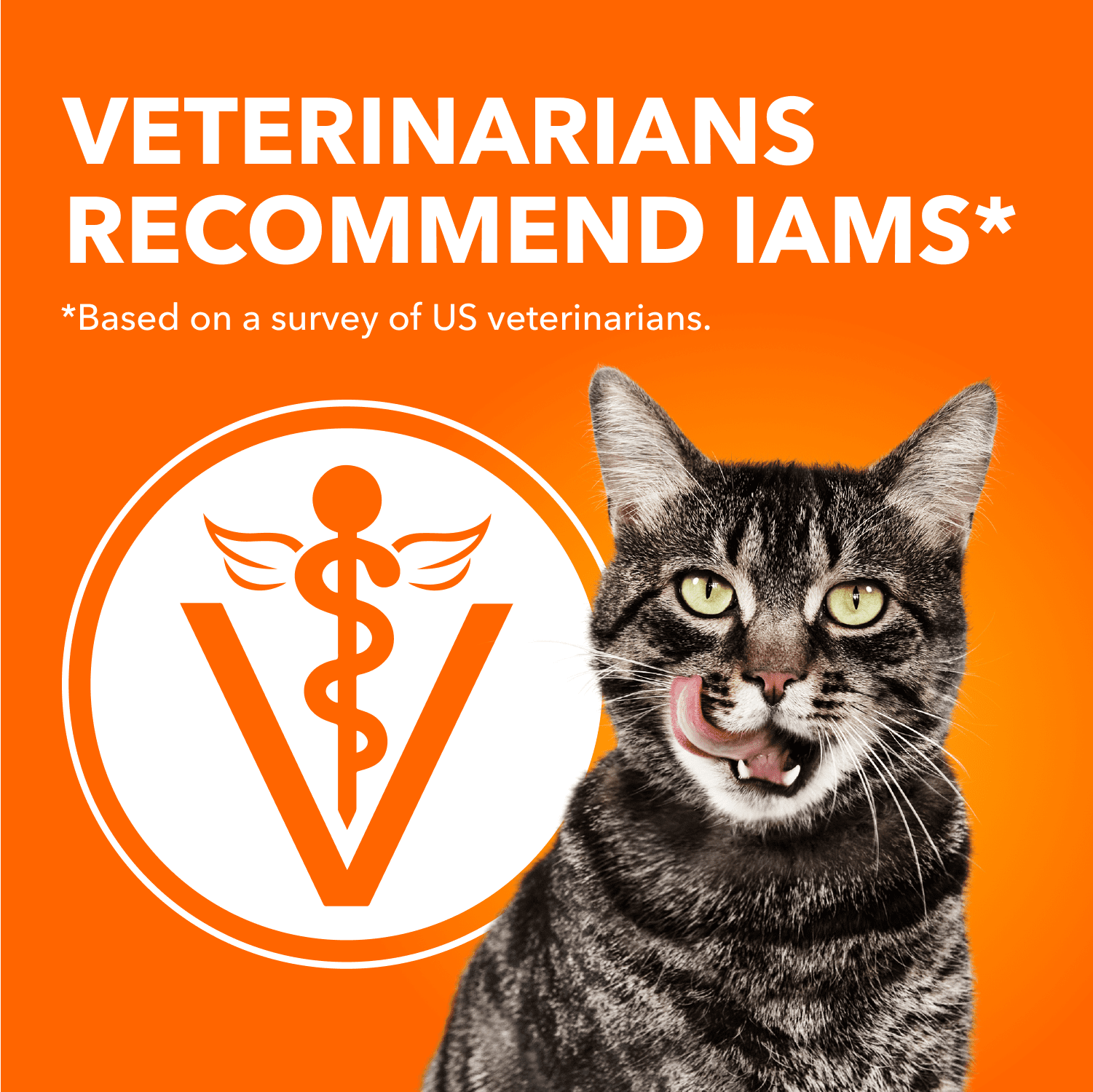 Iams Perfect Portions Sans Grains Coupes de Poulet en Sauce & Pâté au Saumon d'Intérieur Assortiment Adulte en Santé Nourriture Humide pour Chat Lot de 24