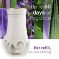 thumbnail image 4 of Glade Plugins® Air Freshener Oil Refill, Tranquil Lavender & Aloe, 4 of 8