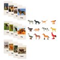 thumbnail image 2 of 1 Set Animal Model Cards Matching Cognitive Toy English Cards Animal Model Toy, 2 of 8