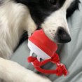 thumbnail image 3 of Interactive Motion Activated Self Entertaining Dog Toy Automatic Moving Teaser for Boredom and Training with USB Rechargeable Feature, 3 of 3
