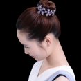 thumbnail image 3 of Femmes Floral Bling Strass Chignon Épingle à Cheveux Twist Cheveux Clip Accessoire de Coiffure, 3 of 8