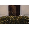 thumbnail image 2 of Northlight Lumières de Noël Style Filet Grand Angle LED Blanc Chaud 4 Pieds x 6 Pieds, Fil Vert, 2 of 3