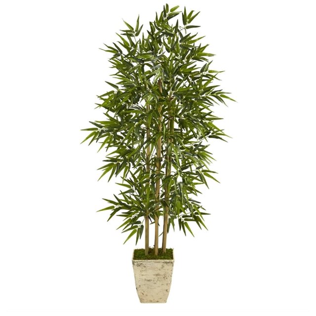 Nearly Natural 65" Bamboo Artificial Tree - Country White Planter - Green/White