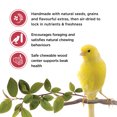 thumbnail image 2 of Living World Canary Treat Sticks Fruit Melody 60 G, 2 of 6