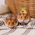 thumbnail image 4 of Adorable Hat for Small and Cats with Adjustable Strap Soft Breathable Outdoor, 4 of 4