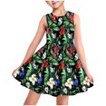 thumbnail image 1 of LOVZFMLL Girls' Summer Short Sleeve Ruffled Lace Round-Neck Embroidery Mesh Princess Bow Skirt, 1 of 8