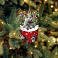 thumbnail image 4 of (2 Pack) Christmas Decorations Acrylic Stockings for Cats - Tree Hangs Festive Crafts Unique Holiday for Home Decoration, 4 of 4