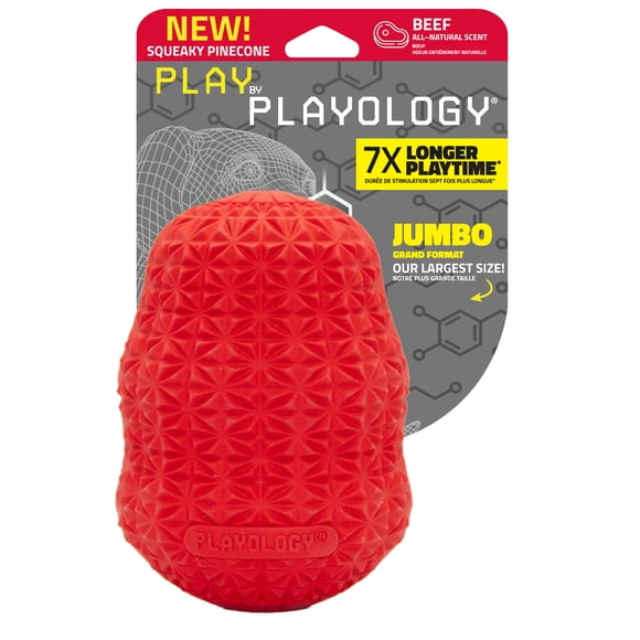 Playology Pomme de pin grinçante Bœuf Jouet parfumé pour chien