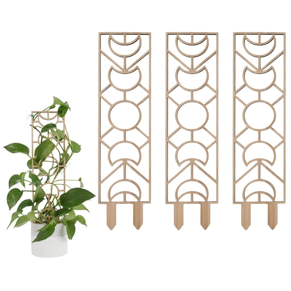 Ensemble de Supports d'Escalade pour Plantes en Bois de 3 Pcs - Couleur Bois Naturel - Treillis Décoratif pour Vignes de Jardin Intérieur Extérieur pour Plantes en Pot (Lune:300x151x10mm, Géométrique:300x82x10mm, Ruche:300x118x10mm,