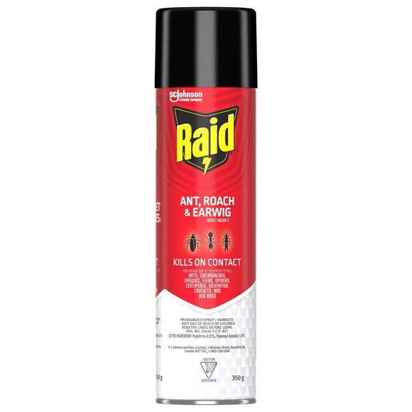 Raid Ant, Roach, and Earwig Insect Killer, for Indoor and Outdoor Use, 350g