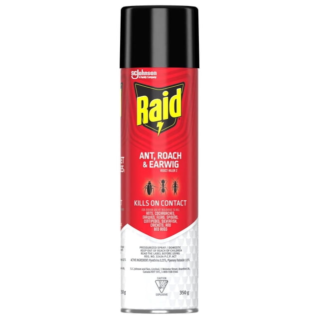 Raid Ant, Roach, and Earwig Insect Killer, for Indoor and Outdoor Use, 350g
