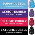 thumbnail image 5 of KONG Puppy Classic Teething Treat Dispensing Chew Dog Toy, Small (3 Pack), 5 of 5