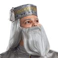 thumbnail image 3 of Disguise Men's Plus Size Harry Potter Dumbledore Deluxe Adult Costume, Silver, XXL (50-52), 3 of 5