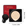 thumbnail image 2 of FcBaudy Concealer, Cover Perfection Tip Concealer, Multi-Use Concealer, Mushroom- Air- Cushion CC- Cream Set Concealer Isolating Liquid Foundation Moisturizing Beauty Cream A Concealer, 2 of 8