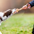 thumbnail image 1 of CBFFDC Dog Chew Toy Interactive Dogs Toy Bite resistant Rope Dog Training Toy Pet Supplies 1Pc/3Pcs/5Pcs, 1 of 5